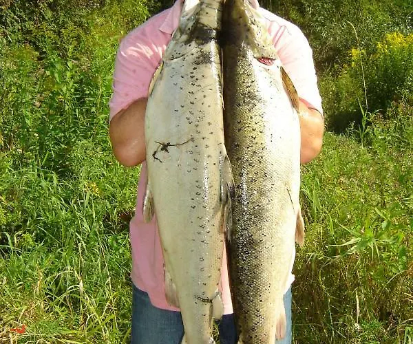 Poilsio Ir Sveikatinimo Pusu Slamesy Apartment