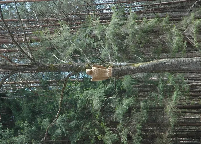 Poilsio Ir Sveikatinimo Pusu Slamesy * 维尔纽斯