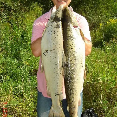 Poilsio Ir Sveikatinimo Pusu Slamesy Апартаменты