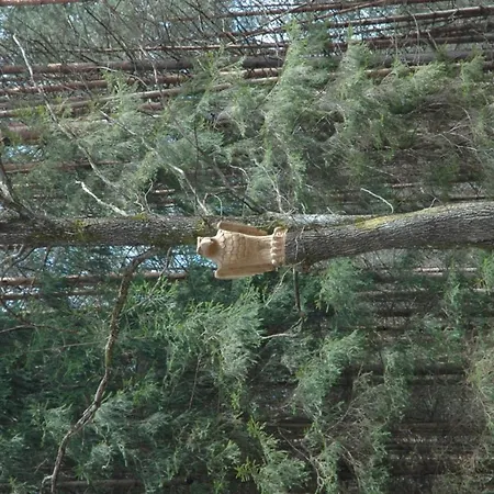 Poilsio Ir Sveikatinimo Pusu Slamesy * Вильнюс